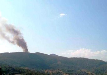 Menteşe'de orman yangını