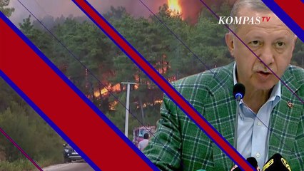 Presiden Erdogan Sampaikan Dugaan Pemicu Kebakaran Lahan Turki