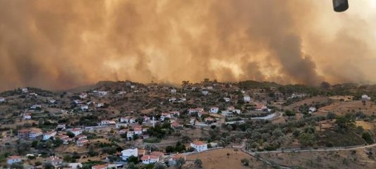 Bodrum'daki orman yangınını söndürmek için herkes seferber oldu