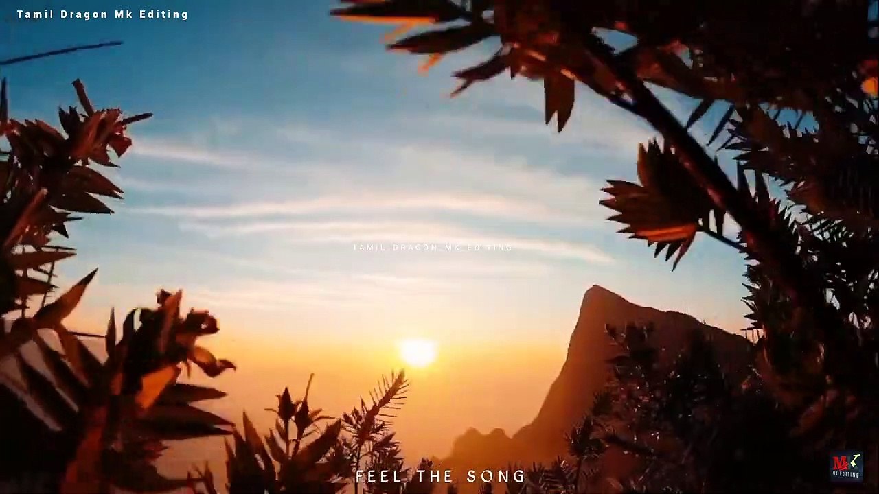 Morning Vibes __ Nature Lovers Forver __ Trending whatsapp status