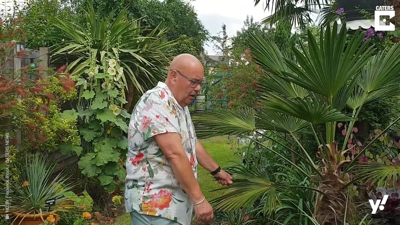 In diesem tropischen Garten stecken 25 Jahre Arbeit