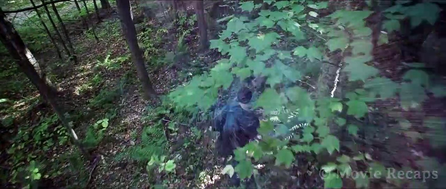 Unexplored Planet With Strange Creatures And no Secrets