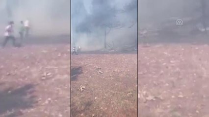 Ormanlık alanda çıkan yangın kontrol altına alındı