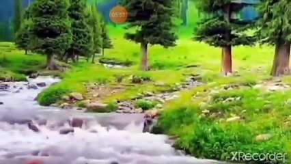 نقي قلبك القرآن آية الرضا نزلت بداية الدعوة فيها خصوصية وعلاج من آفات العصر