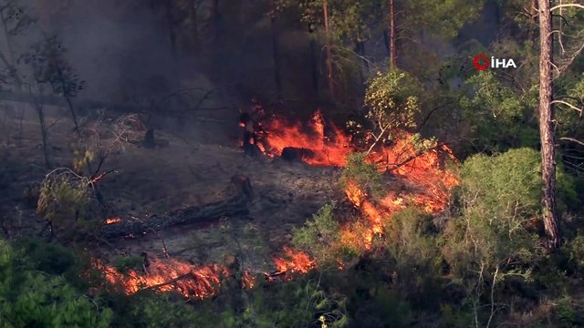 Manavgat’ta alevler yeniden metrelerce yükseldi, ekipler havadan karadan müdahale etti-Yangına müdahale eden...