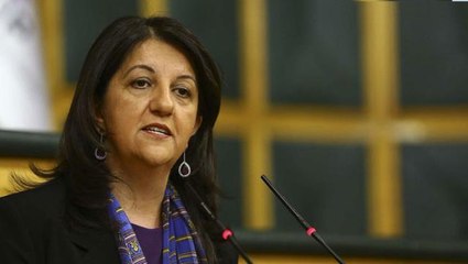 HDP Eş Genel Başkanı Pervin Buldan'dan yangın açıklaması: Kim yaktıysa hesabı sorulmalı