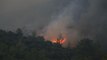 Son dakika haberi! Milas'ta ormanlık alanda çıkan yangın kontrol altına alınmaya çalışılıyor