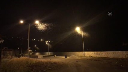 Son dakika haberleri... "Bir günlükler"in "ölüm uçuşu" başladı