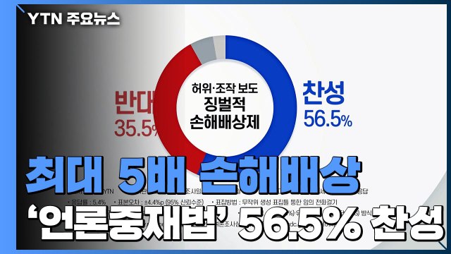 '최대 5배 손해배상' 언론중재법...국민 절반 이상 '찬성' / YTN