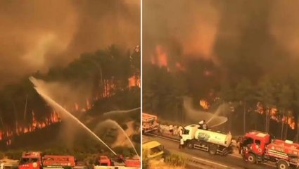 Manavgat'tan tüyleri diken diken eden görüntü! İtfaiyecilerin alev toplarına müdahalesi yetersiz kaldı