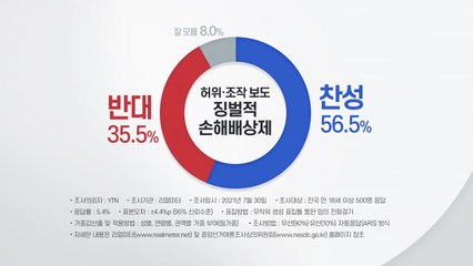'최대 5배 손해배상' 언론중재법...찬성 56% vs 반대 35% / YTN