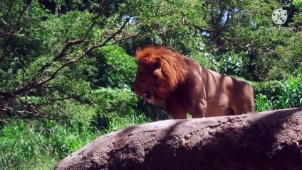 Best wishes for the future