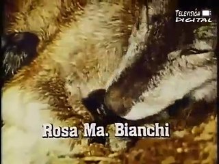 Cuna de lobos(1986-1987) capìtulo 73