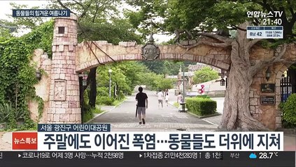 무더위에 동물원도 비상…힘겨운 여름나기