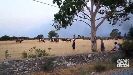 AB, Türkiye'ye yangın söndürme uçağı desteğinde bulunuyor