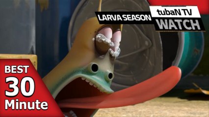 RANDOM PLAY I Watch 30 minutes a day!! I Ep.113 I Larva Cartoon I Larva Official Channel  I part.1