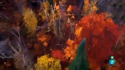 El nacimiento del río Mississippi- El río de Norte América.