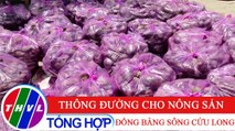 Nông nghiệp bền vững: Thông đường cho nông sản đồng bằng sông Cửu Long