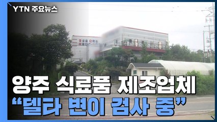 양주 식료품 제조업체 집단감염..."델타 변이 검사 중" / YTN