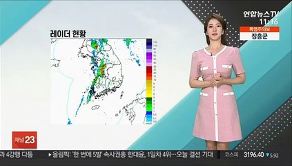 [날씨톡톡] 오랜만에 마주한 '여름비'…오늘 전국 영향