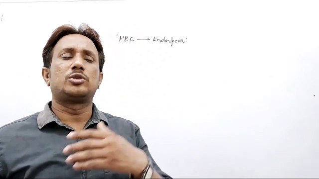 CBSE-Biology,Post Fertilization Events,ms patel e learning