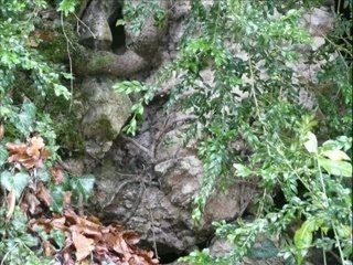 003-diaporama de chevroches le 01 décembre 2007