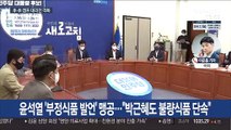 李·李 캠프 대리전 격화…尹, 국민의힘 입당 신고