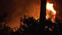 Países mediterrâneos sofrem com incêndios