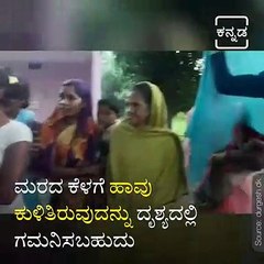 Viral Video Of Snake Wrapped Around Shiva Linga Will Amaze For Sure