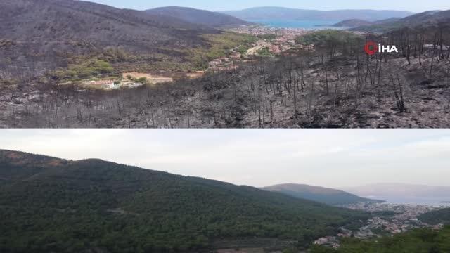 Marmaris'in yangın öncesi ve sonrası havadan görüntüleri, felaketin boyutunu gözler önüne serdi