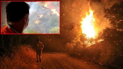 Bodrum Belediye Başkanı Aras, Mazı-Çökertme arasındaki yangını canlı yayınladı: Artık ne yapacağımızı şaşırdık