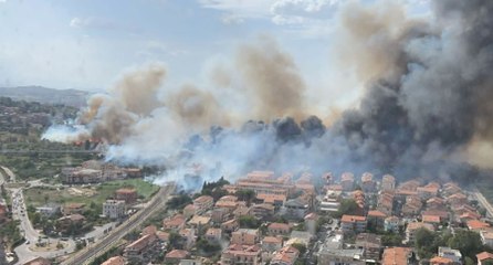 Pescara - Incendio alla Pineta Dannunziana (02.08.21)