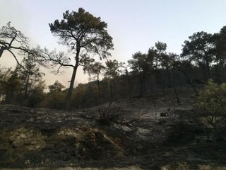 SEYDİKEMER YANGINI, KISMEN KONTROL ALTINDA