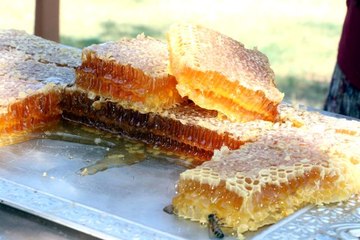 Bozok Yaylasında bal hasadı başladı