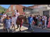 Cuges-les-Pins : la cavalcade de la Saint-Eloi