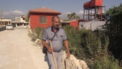 Coğrafi işaret tescili "Samandağ neyi"ne talep arttı