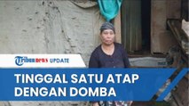 Cerita Warga Cianjur yang Tinggal Satu Atap dengan Kandang Domba Setelah Rumah Dibakar Sang Anak