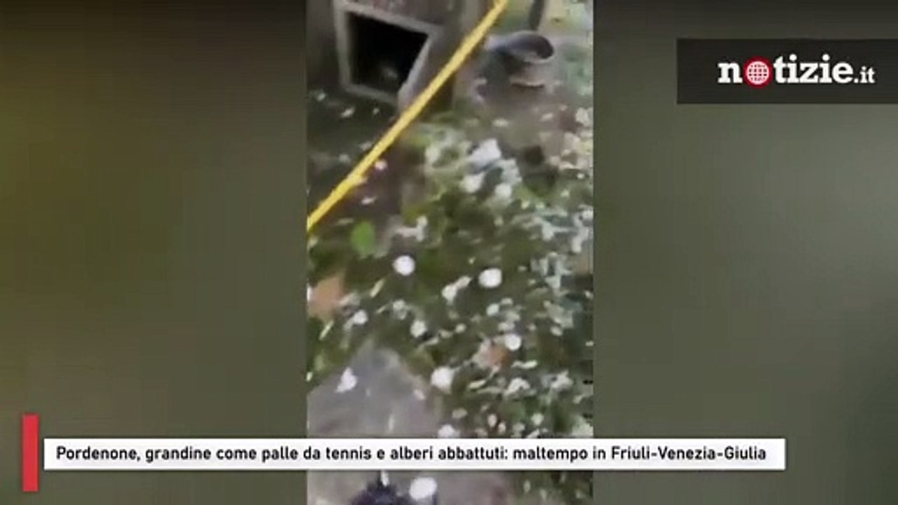 Pordenone, grandine come palle da tennis e alberi abbattuti: maltempo in Friuli-Venezia-Giulia