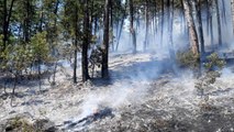 Kastamonu'da ormanlık alanda çıkan yangın kontrol altına alındı