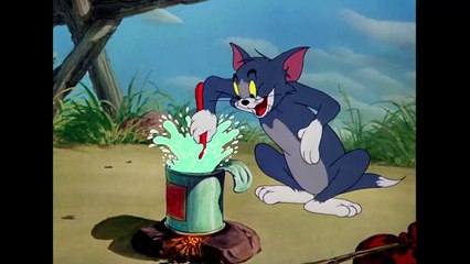 Tom & Jerry _-  Best of Little Quacker _