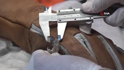 Yeniden özgürlüğe kanat çırptılar