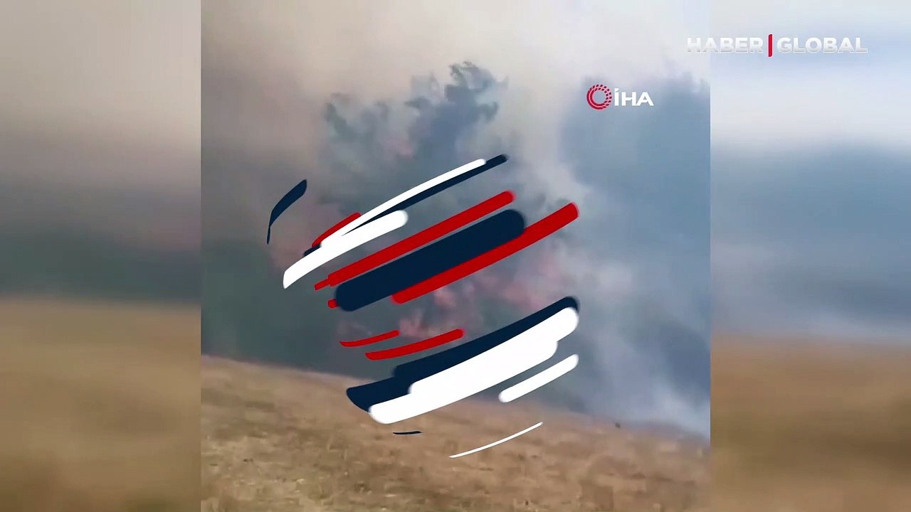 Adana Karaisalı'da anız yangını ormana sıçradı