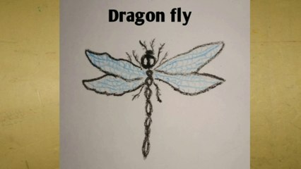 How to draw a Dragoon fly