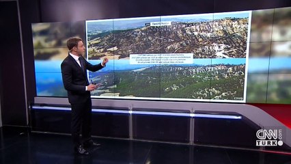 Yanan ormanların öncesi ve sonrası