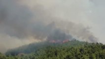 Tarlada başlayıp ormanlık alana sıçrayan yangına müdahale ediliyor (2)