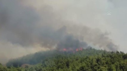 Tarlada başlayıp ormanlık alana sıçrayan yangına müdahale ediliyor (2)