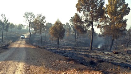 Download Video: El número de siniestros relacionados con el fuego en C-LM cae un 11%