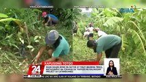 Daan-daang binhi ng native at fruit-bearing trees, matagumpay na itinanim sa 