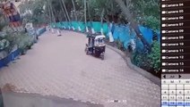 This is the moment a tuk-tuk driver narrowly escaped injury after a coconut tree crushed his vehicle