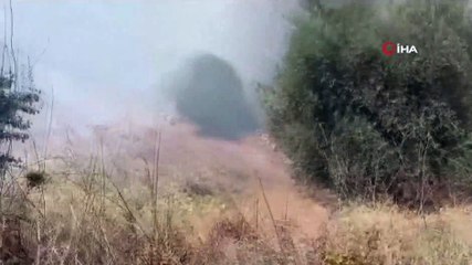 Ormanın yakınındaki tarım arazisinde çıkan yangın korkuttu